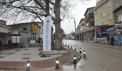 Bursa İnegöl’e Akhisar’da sokak hayvanlarına yardım eli çağrısı