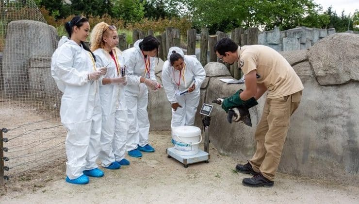 Erasmuslu öğrenciler Bursa Hayvanat Bahçesi’nde